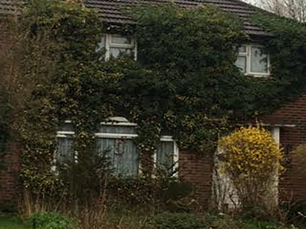 Ivy clad house